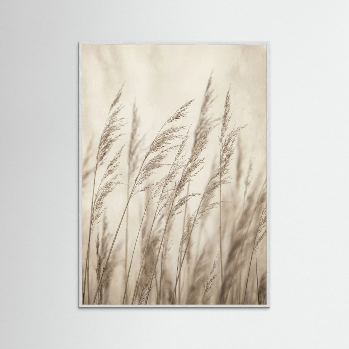 White Wood Faded Grace