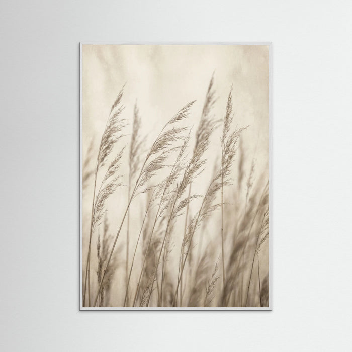 White Wood Faded Grace