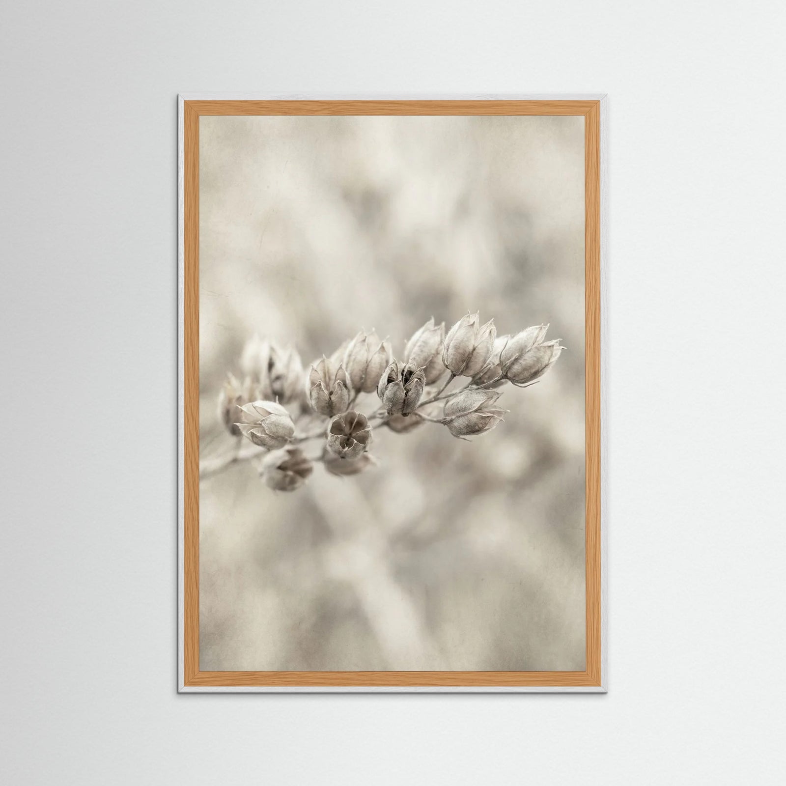 White Wood Faded Whisper