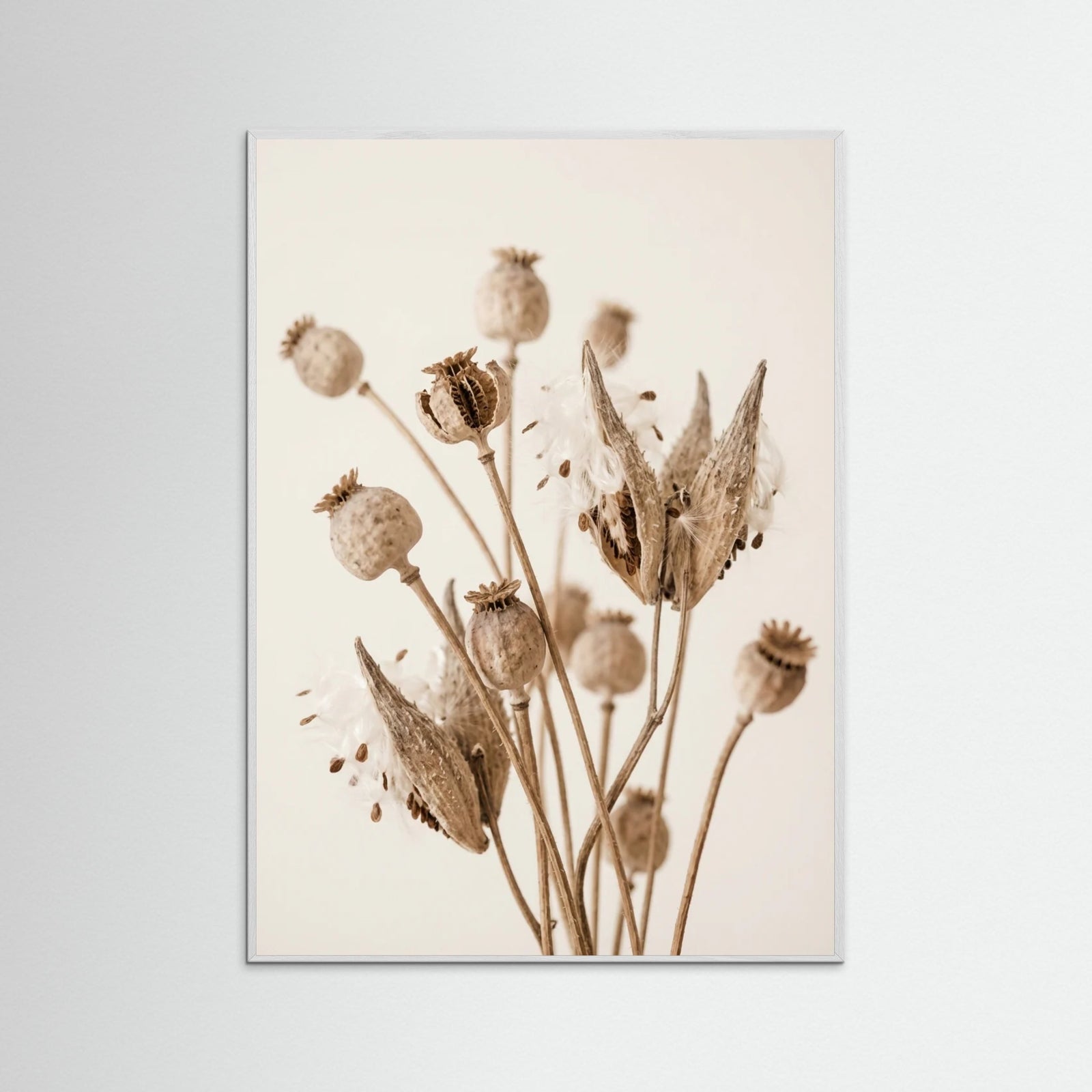 White Wood Fading Whisper