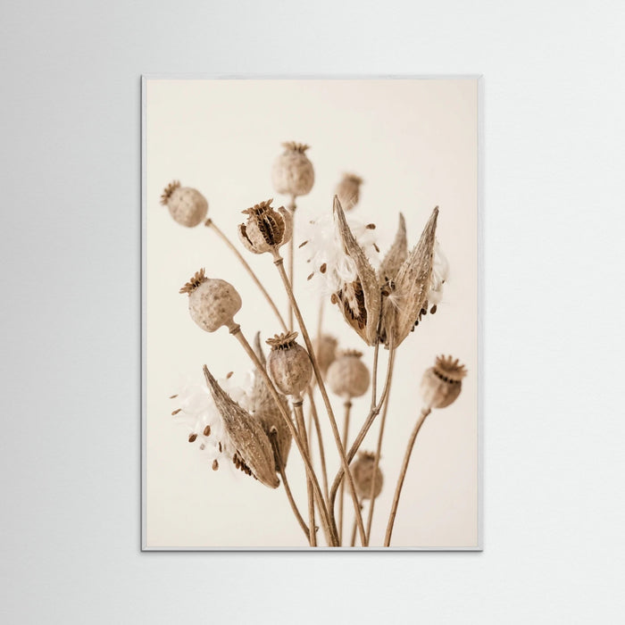 White Wood Fading Whisper
