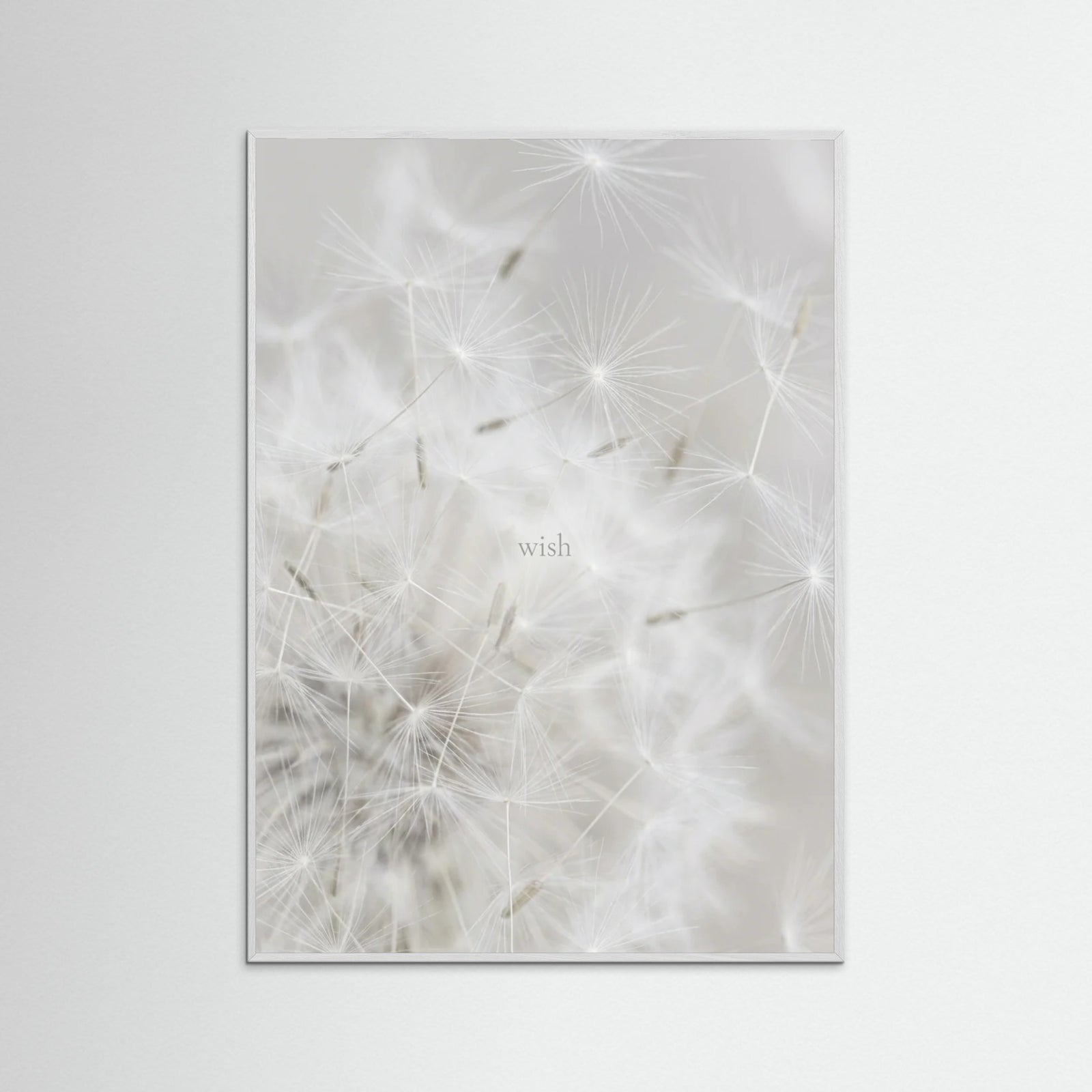 White Wood Feathered Dreams