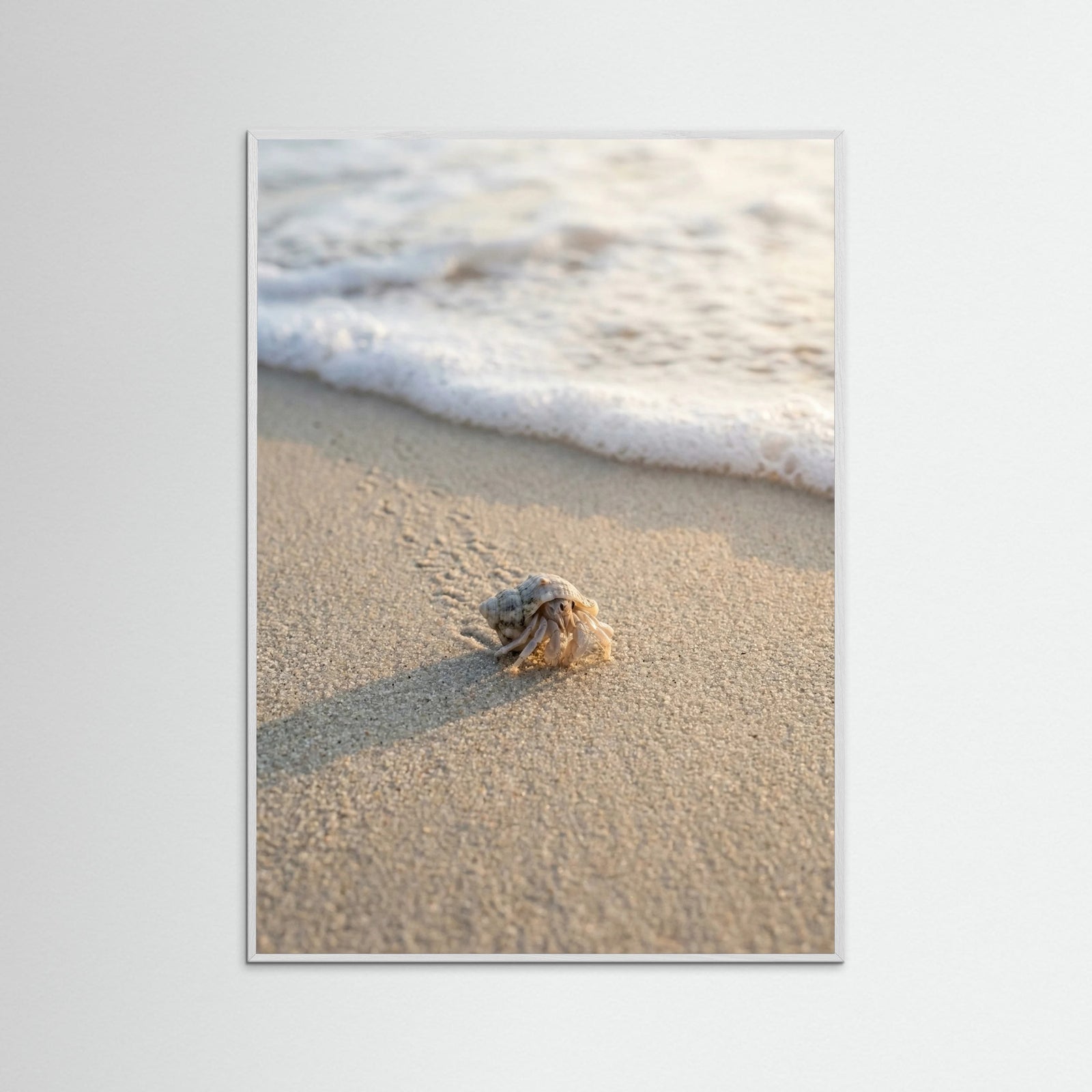 White Wood First Journey