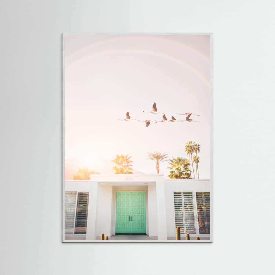 Flamingos In Palm Springs Poster – poster och konsttryck