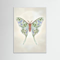 White Wood Floral Moth Study