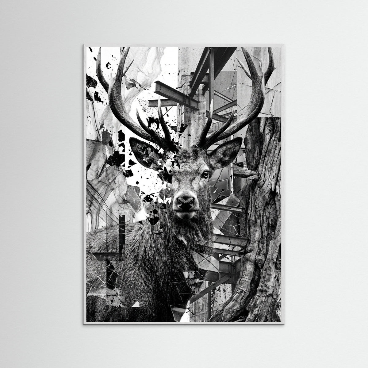 White Wood Fractured Gaze