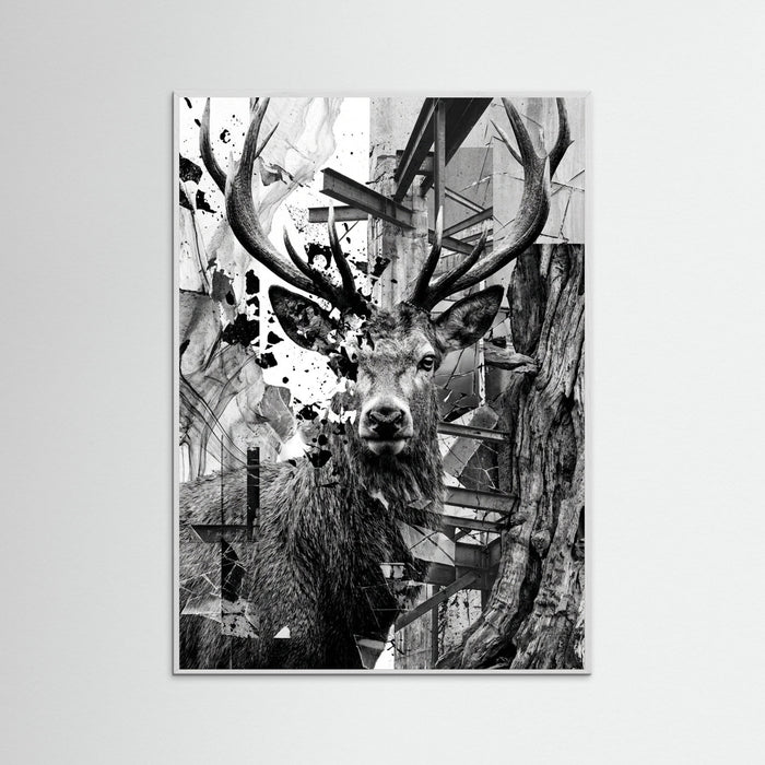 White Wood Fractured Gaze