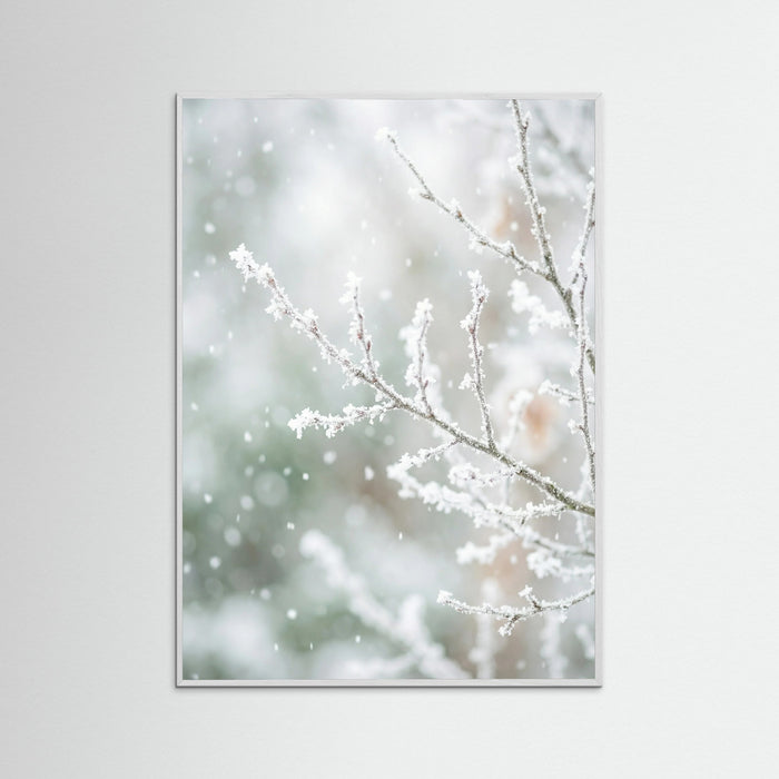 White Wood Frosted Pines