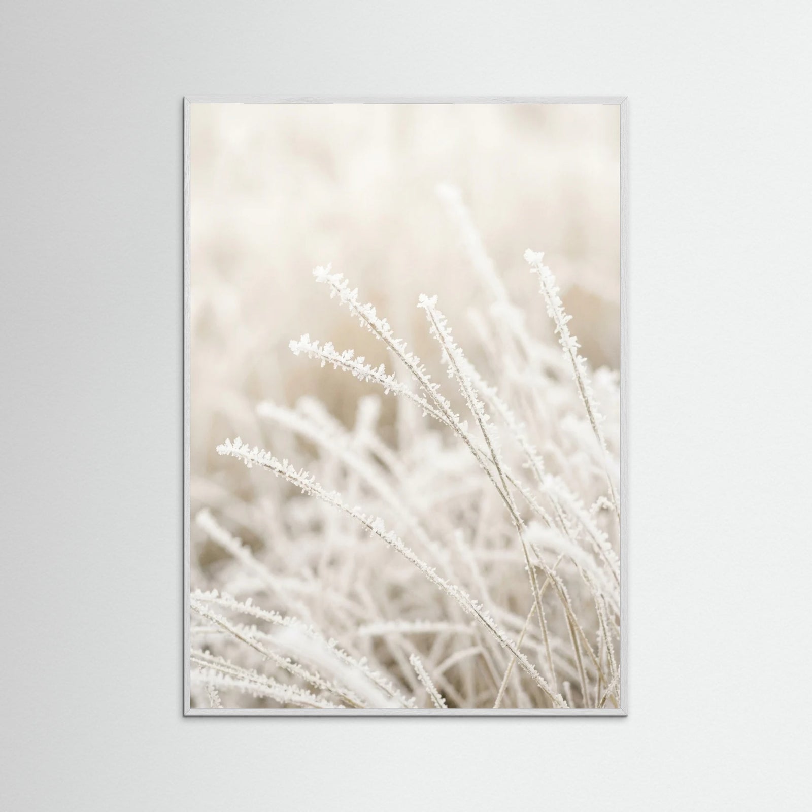 White Wood Frosted Whispers