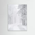 White Wood Frozen Calm