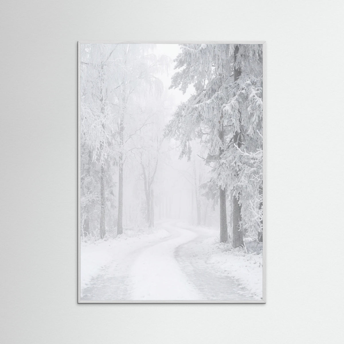 White Wood Frozen Calm