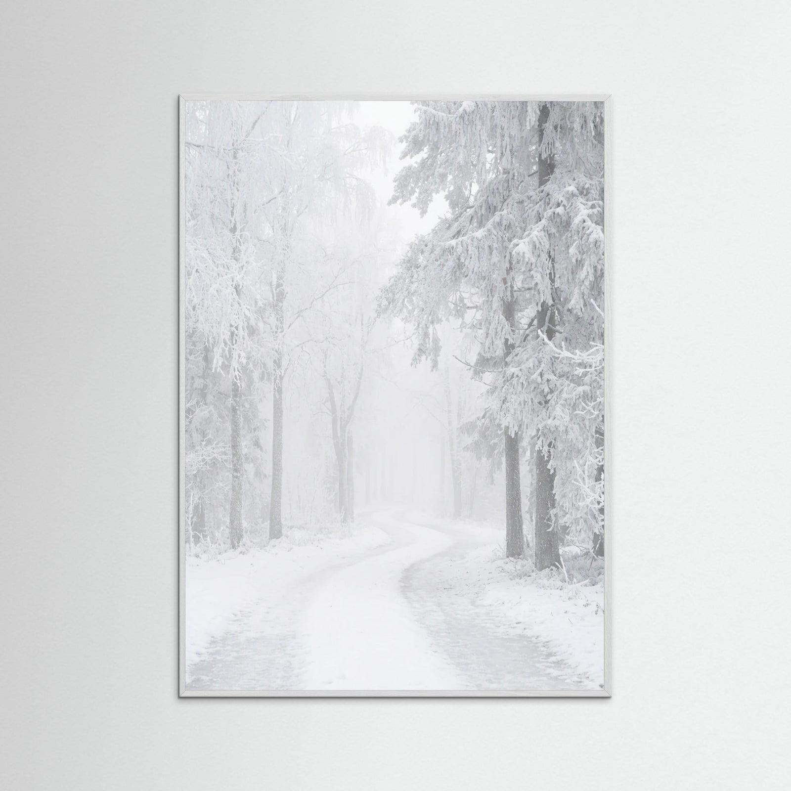 White Wood Frozen Calm