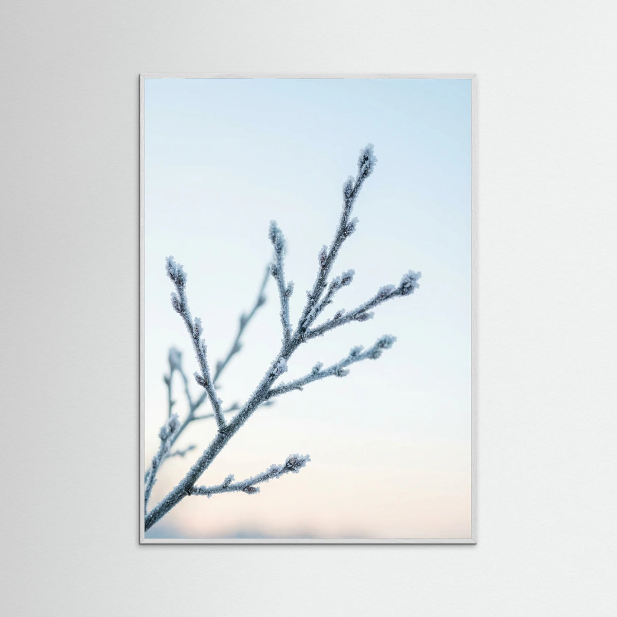White Wood Frozen Whisper