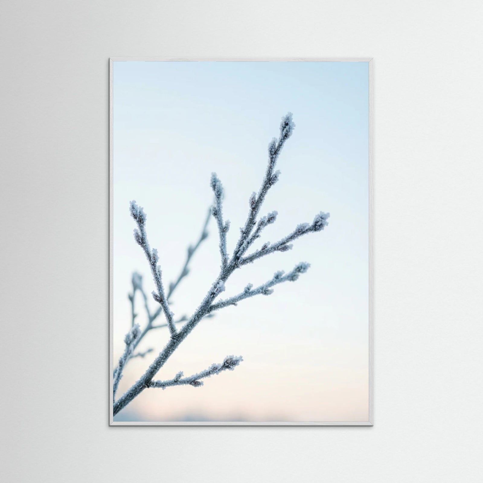 White Wood Frozen Whisper