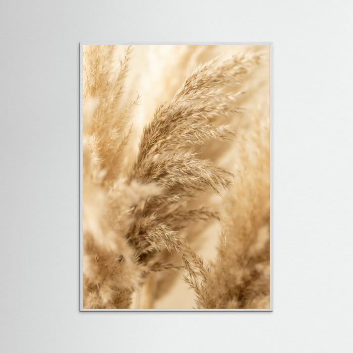 White Wood Golden Fronds