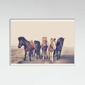 Poster Horses – poster e stampa artistica