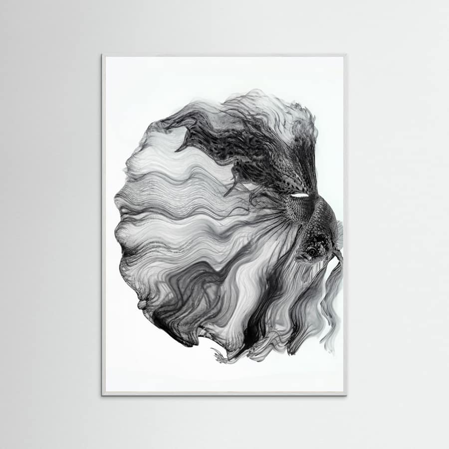 Plakat INK BETTA – plakat i druk artystyczny