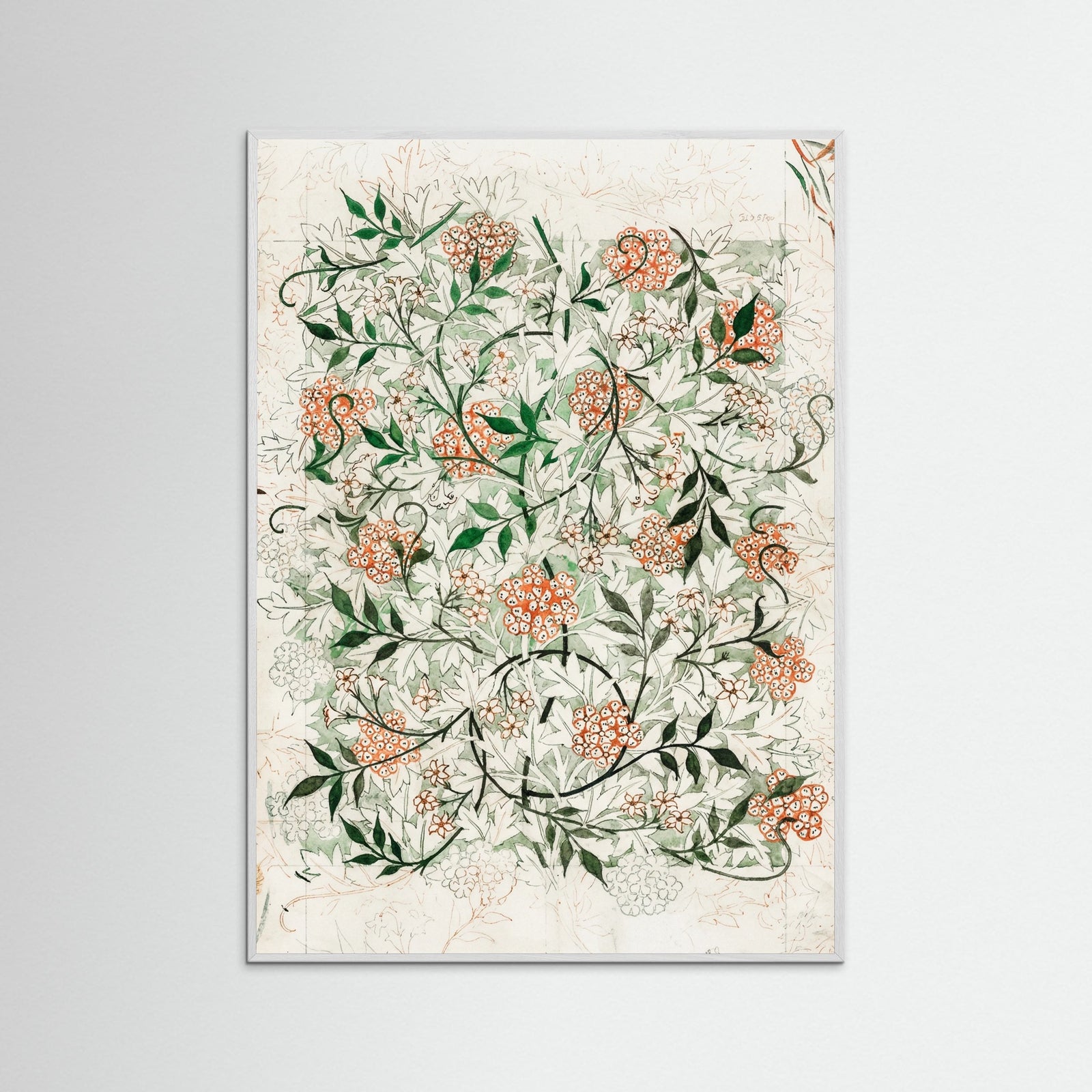 White Wood Jasmine Vine Elegance