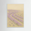 White Wood Lavender Fields
