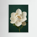 White Wood Lilac Iris Bloom