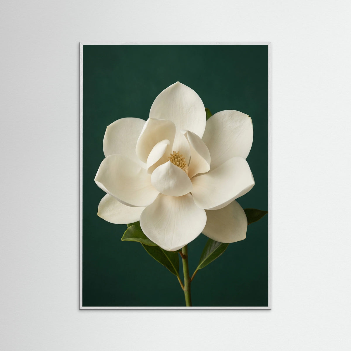 White Wood Lilac Iris Bloom
