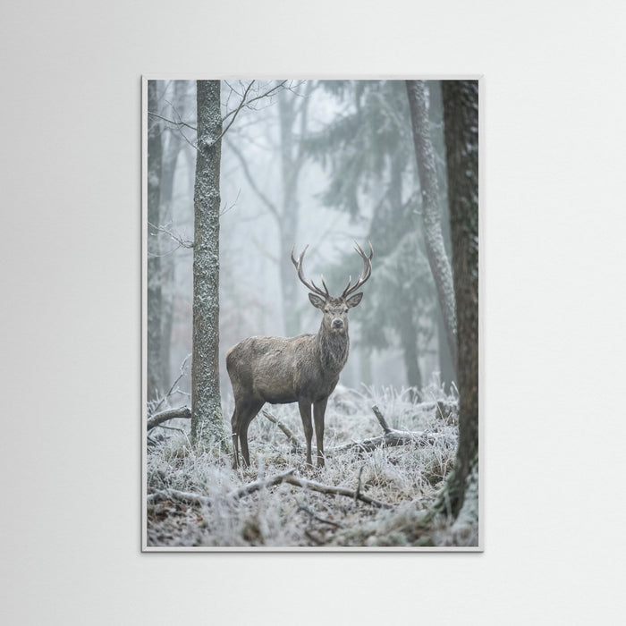White Wood Misty Bear Wanderer