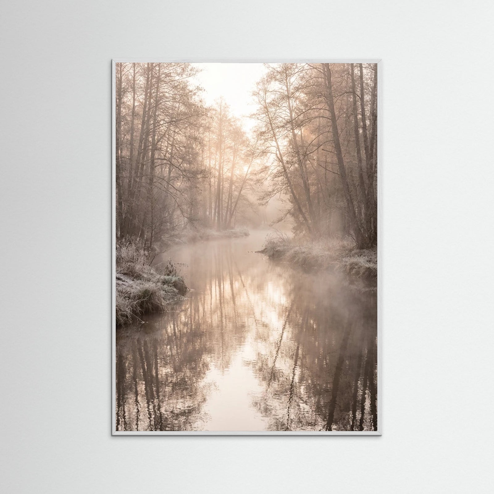 White Wood Misty Dawn Reflection