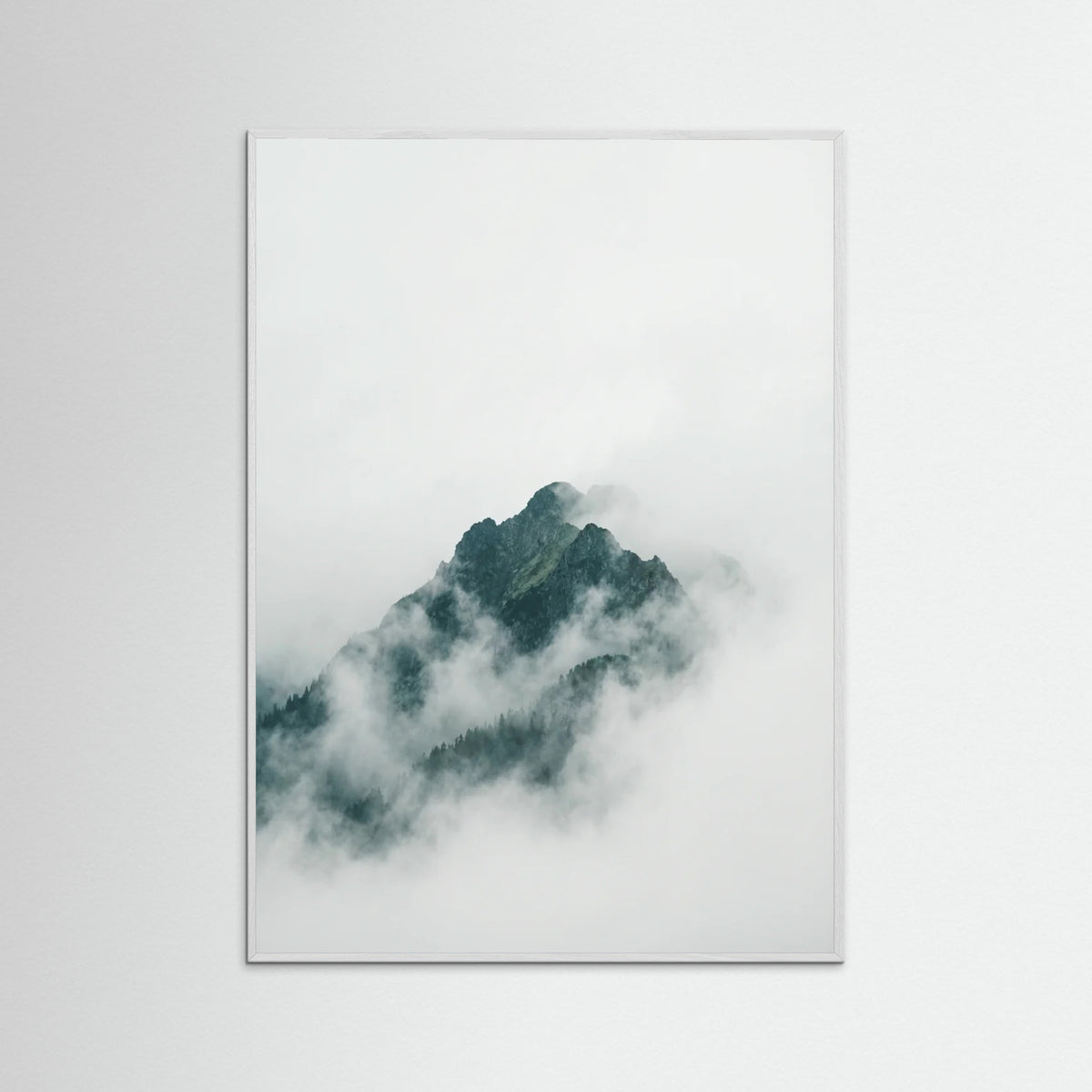 White Wood Misty Forest Canopy