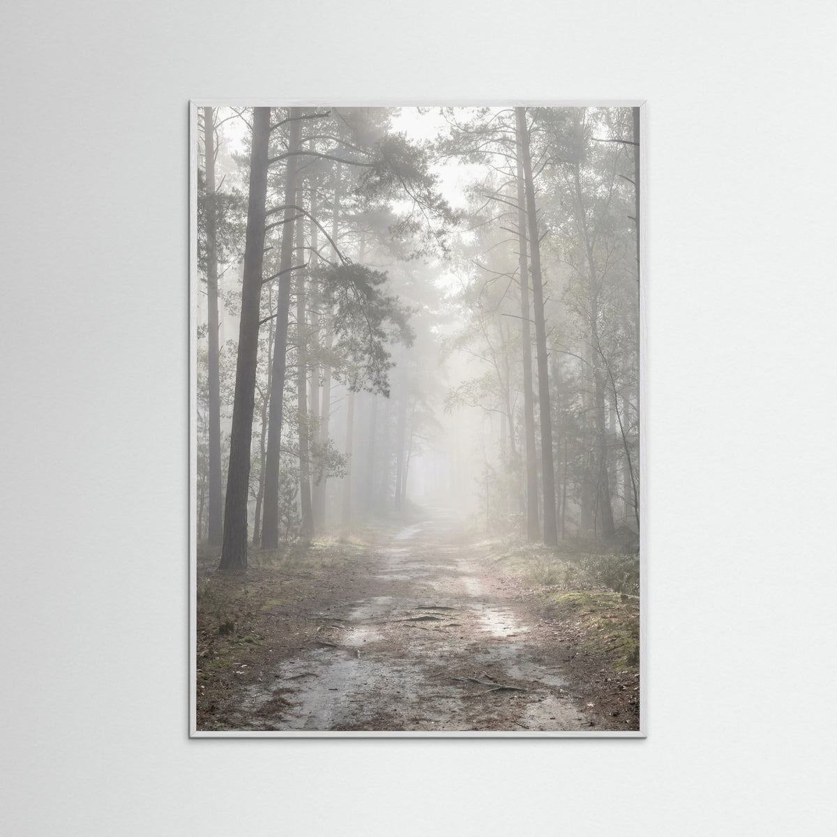 White Wood Misty Lake Boat