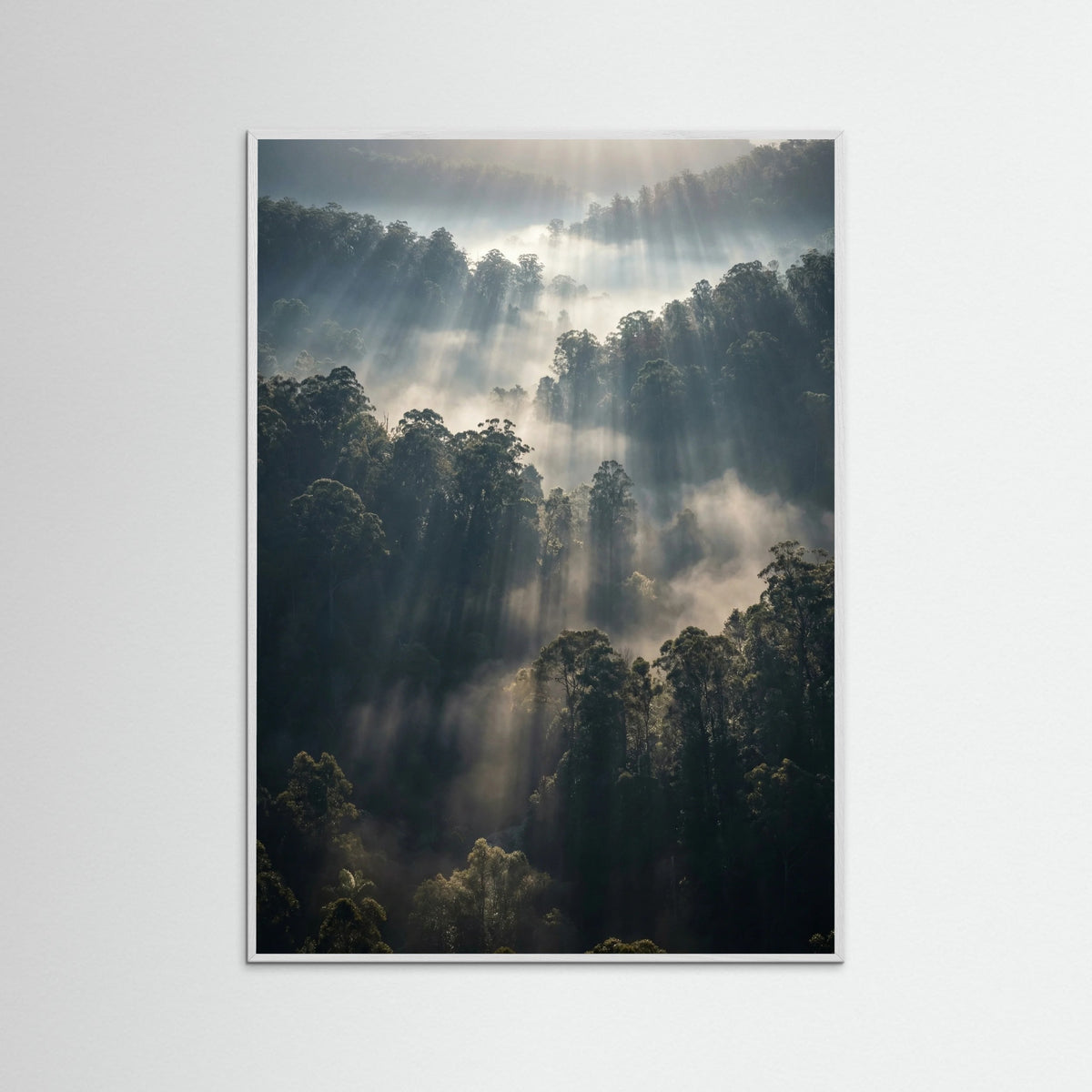 White Wood Misty Mountain Lake