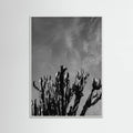 White Wood Monochrome Cactus Sky Poster