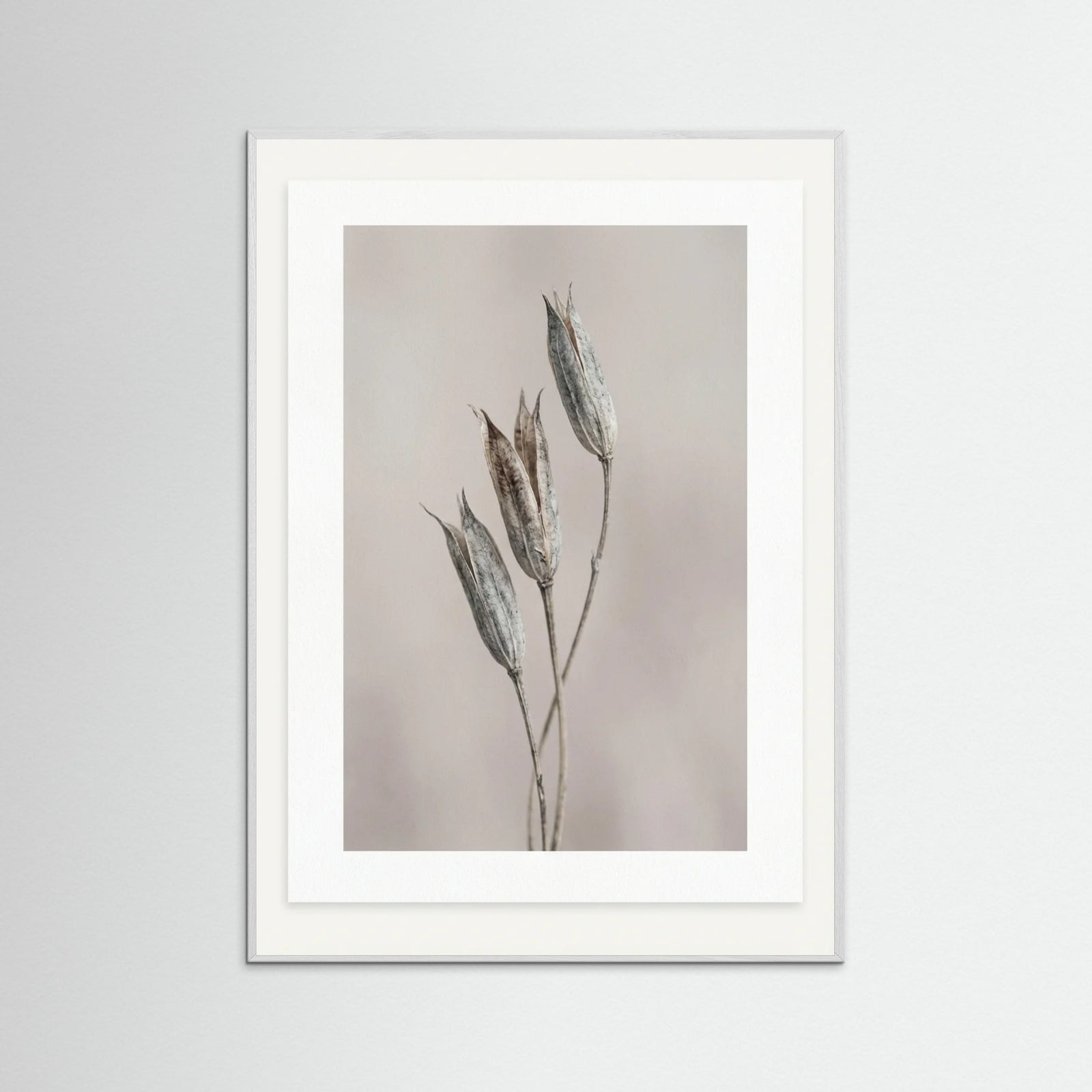 White Wood Muted Bloom