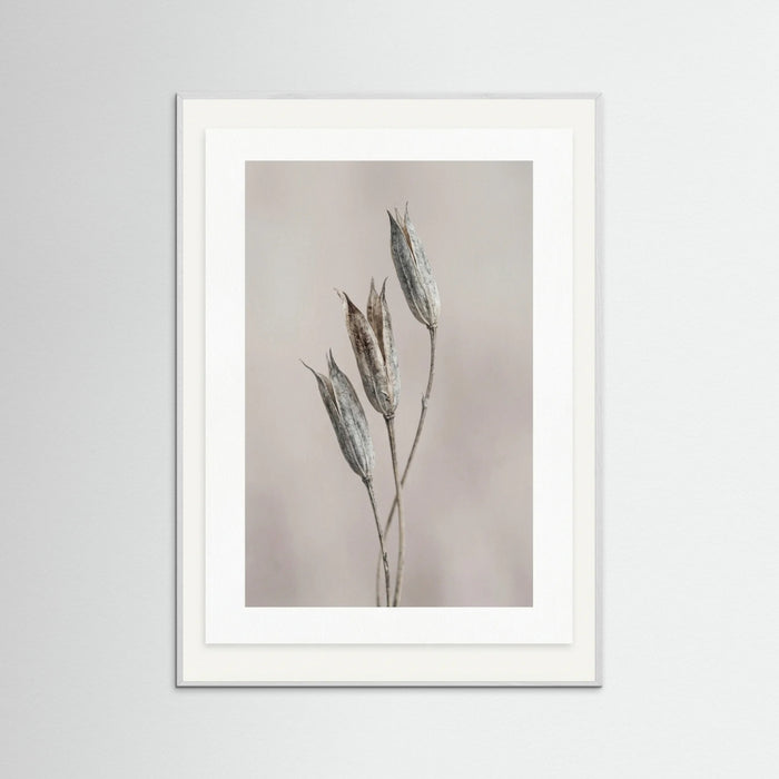 White Wood Muted Bloom