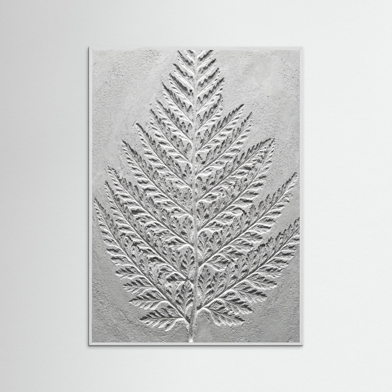 White Wood Nautilus Relief