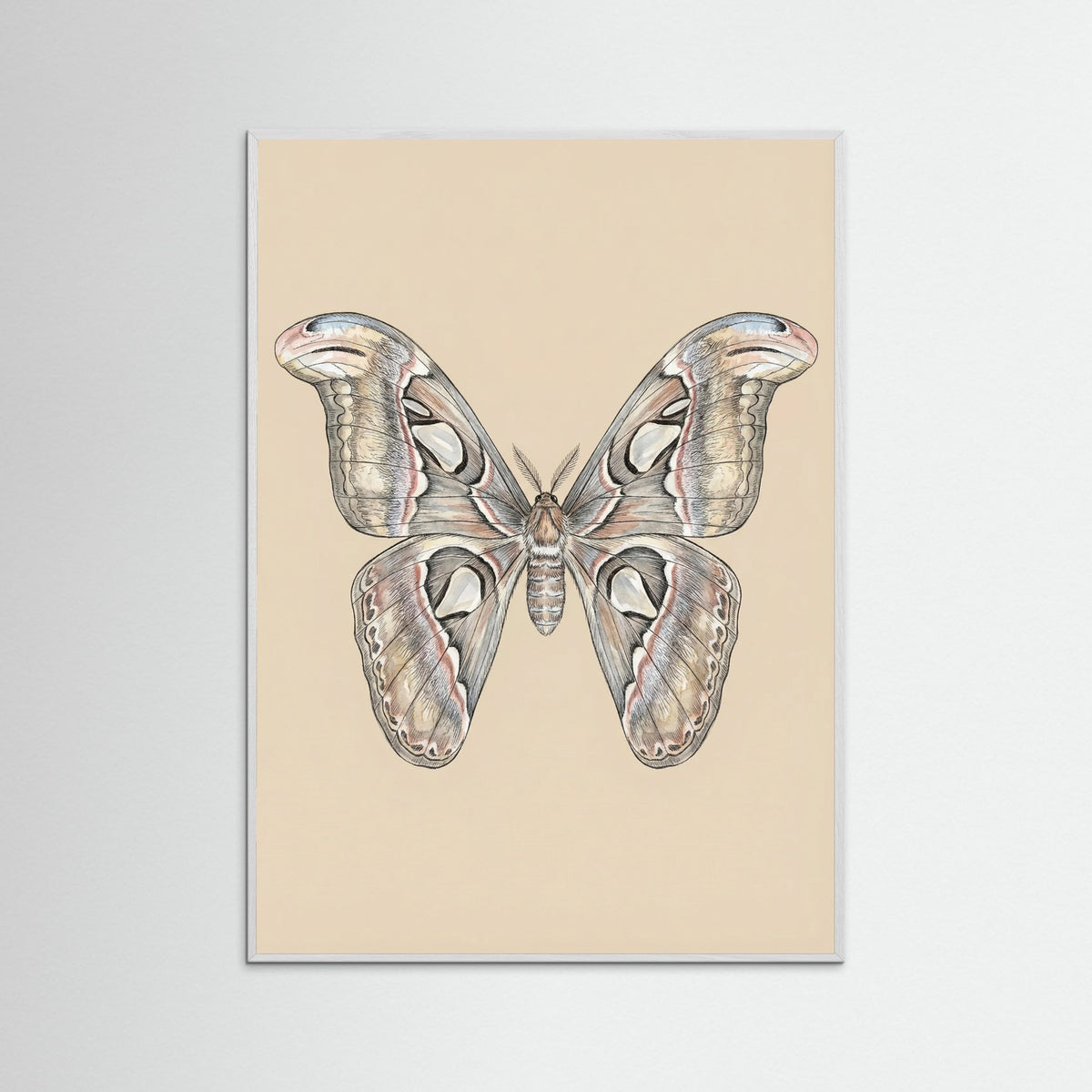 White Wood Nocturnal Elegance