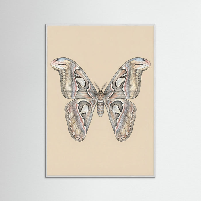 White Wood Nocturnal Elegance