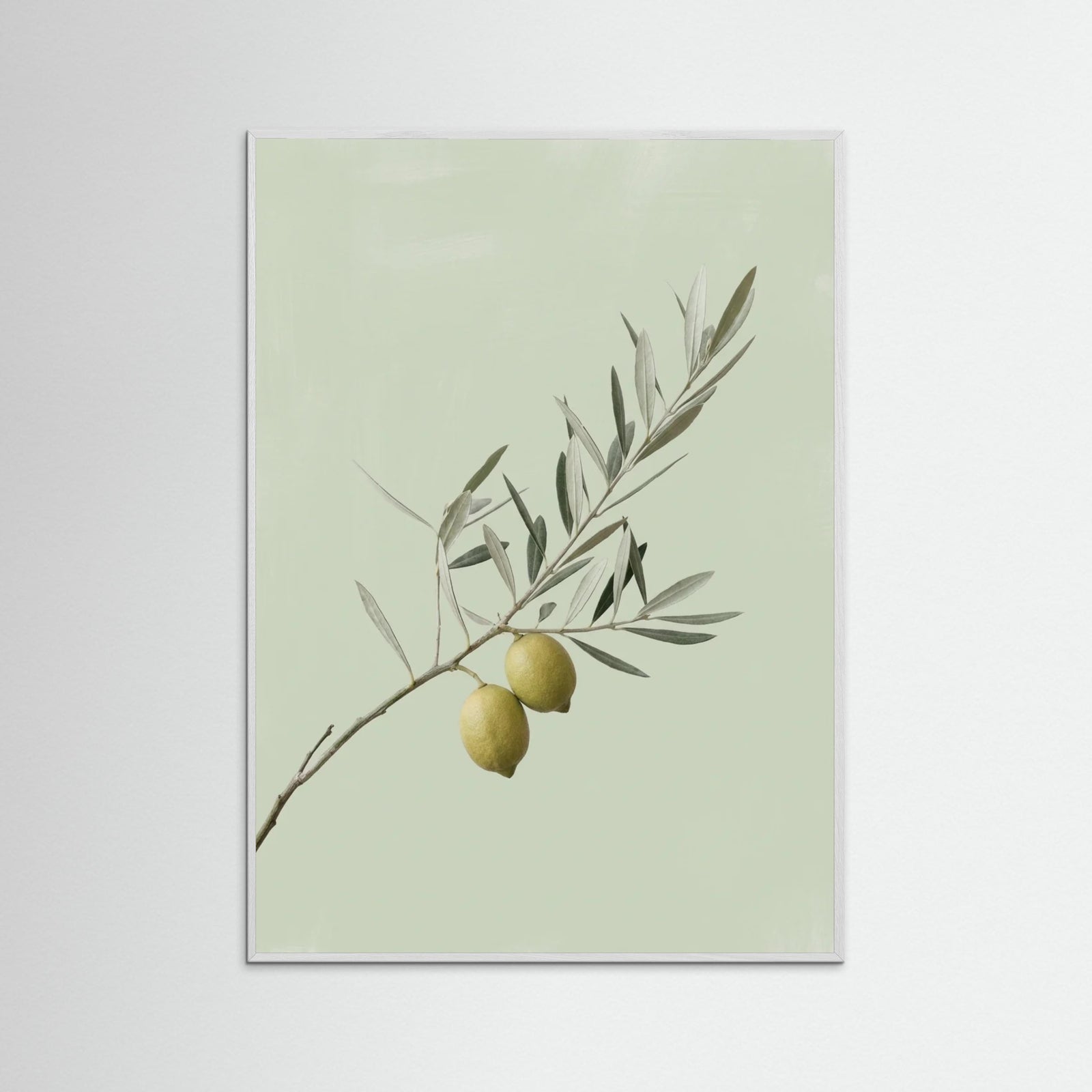 White Wood Olive Branch Serenity