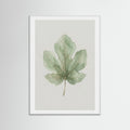White Wood Olive Branch Study