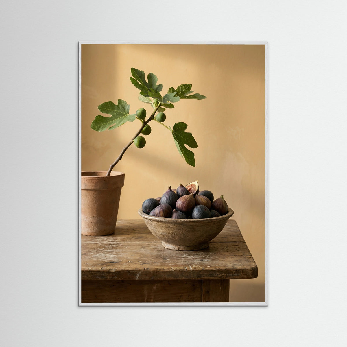 White Wood Olive Serenity