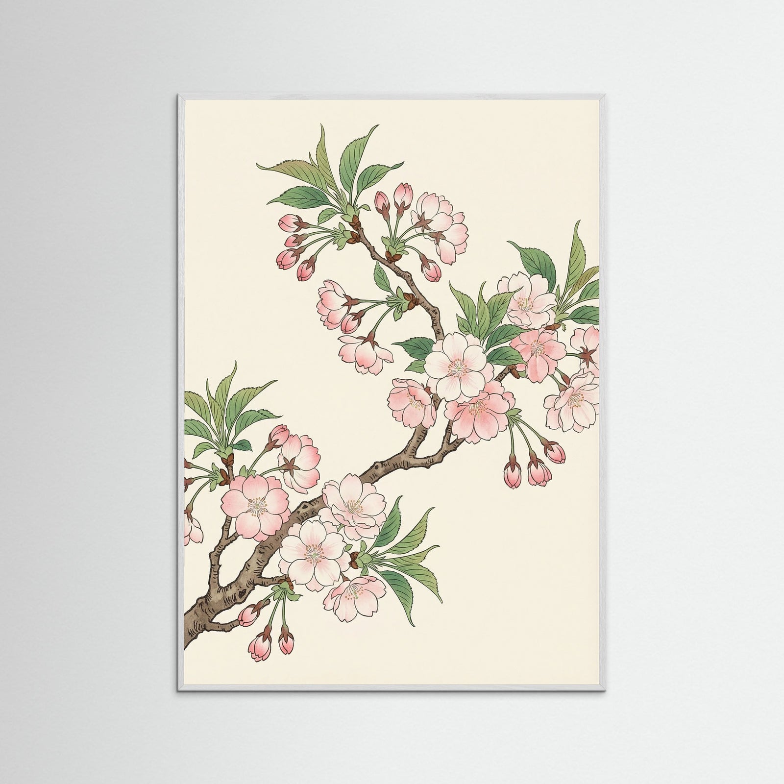 White Wood Orange Poppy Grace