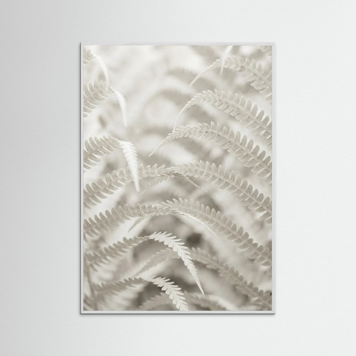 White Wood Pale Elegance