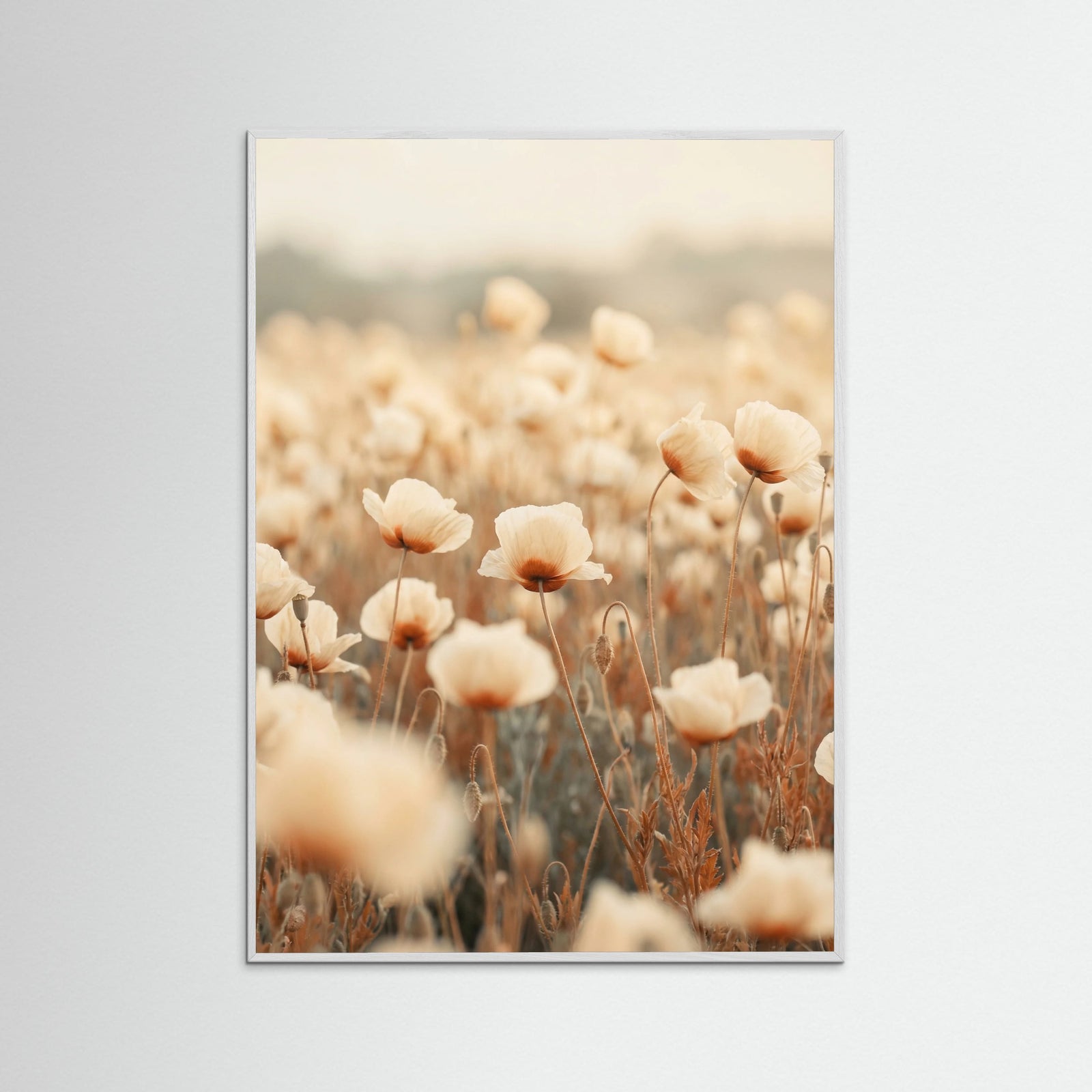 White Wood Petal Radiance