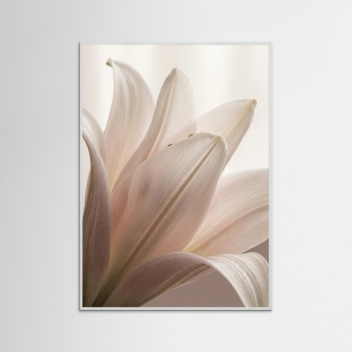 White Wood Petal Whisper