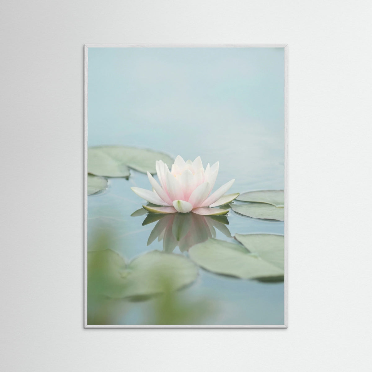 White Wood Pink Lotus Serenity