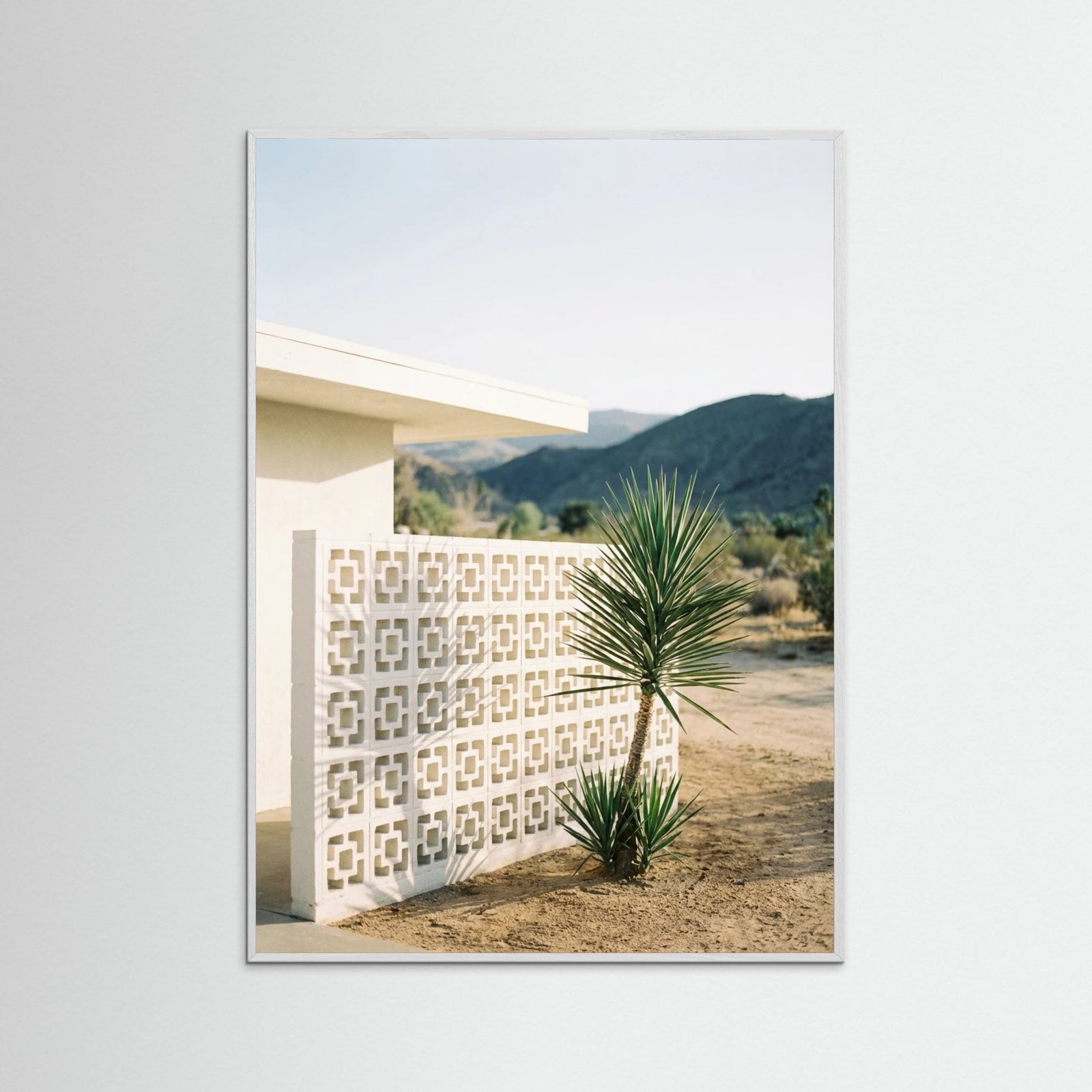 White Wood Poolside Palms