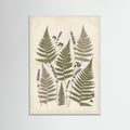 White Wood Pressed Botanicals
