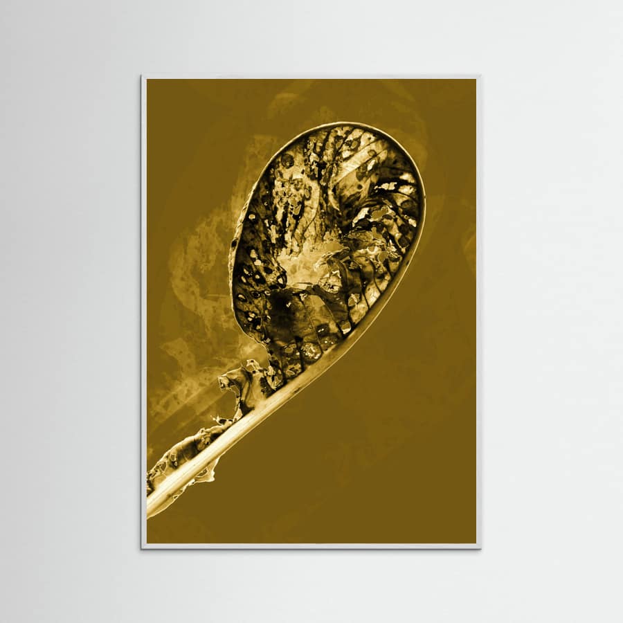 Póster Process  4. – póster e impresión artística