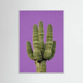 White Wood Purple Cactus Poster