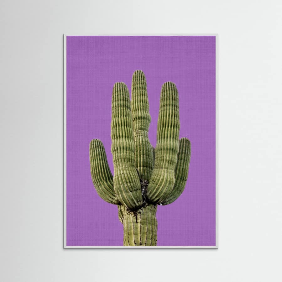White Wood Purple Cactus Poster