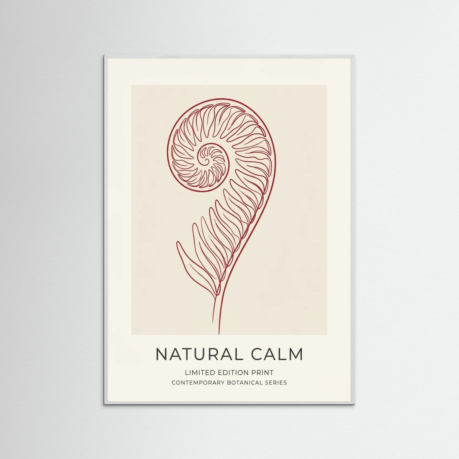 White Wood Quiet Contemplation